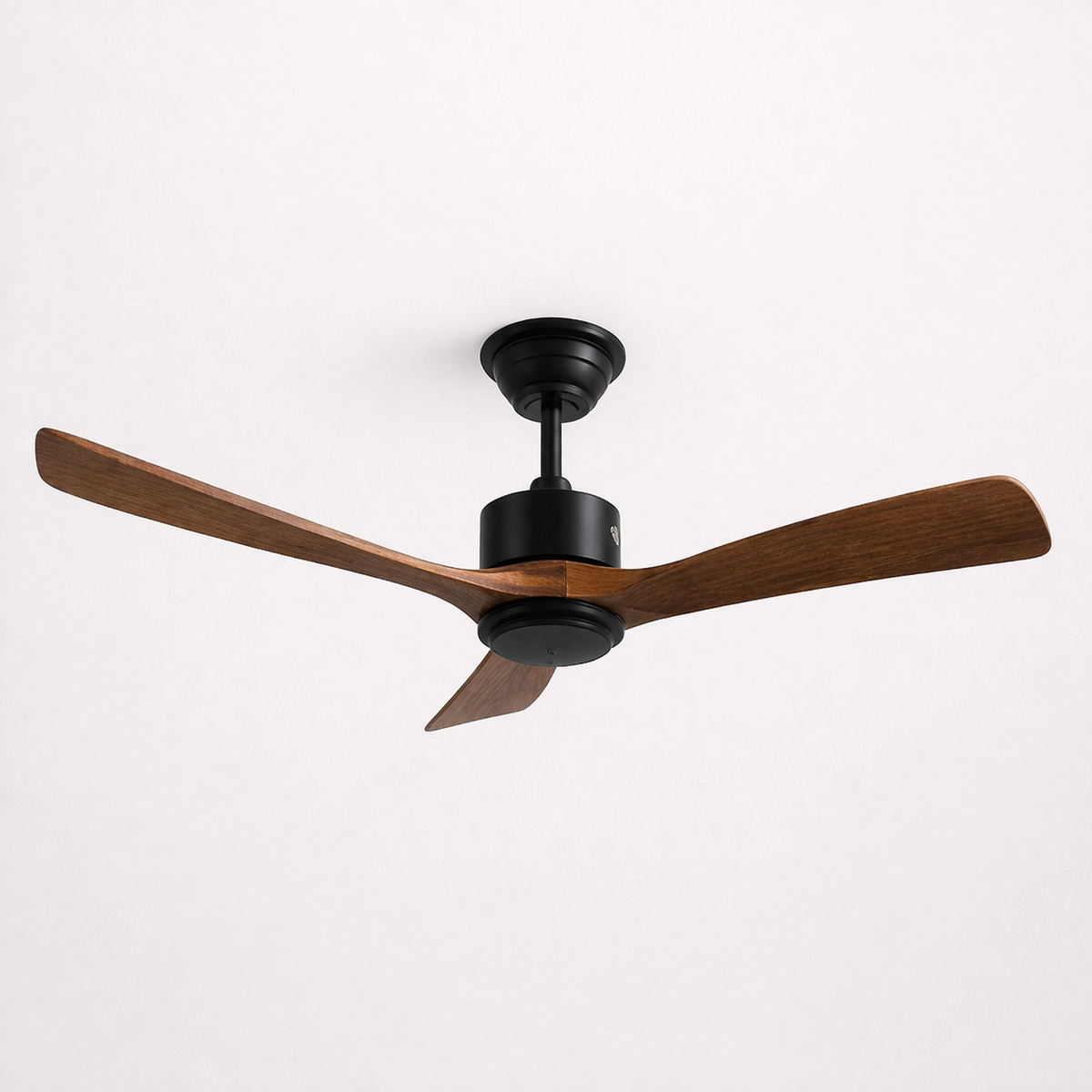 Primo 52"